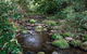 Cascades Picnic Area - thumb 0