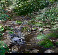 Cascades picnic area - Accommodation Bookings