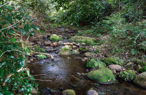 Cascades Picnic Area - Accommodation Bookings 0