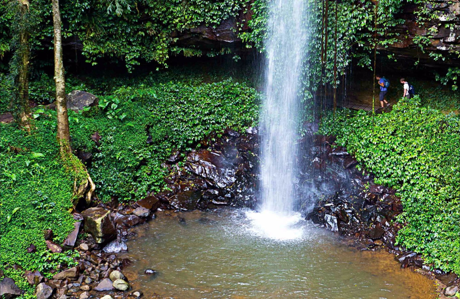 North Coast NSW Accommodation Bookings
