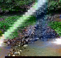 Crystal Shower Falls Walk - Accommodation Bookings