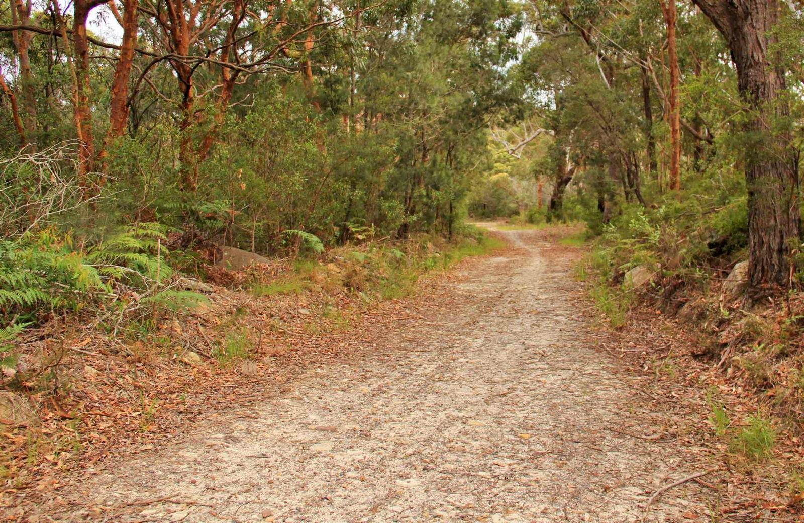 Killcare Heights NSW Accommodation Bookings