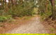 Daleys Point Walking Track - thumb 0