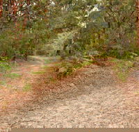 Daleys Point Walking Track - Accommodation Bookings