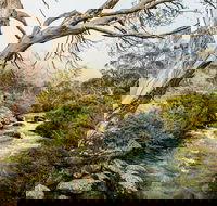 Dead Horse Gap walking track - Accommodation Bookings