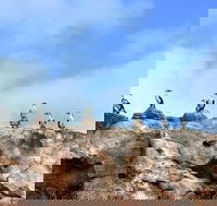 Dirk Hartog Island National Park - Accommodation Bookings