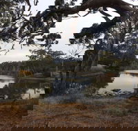 Duck Lagoon - Accommodation Bookings