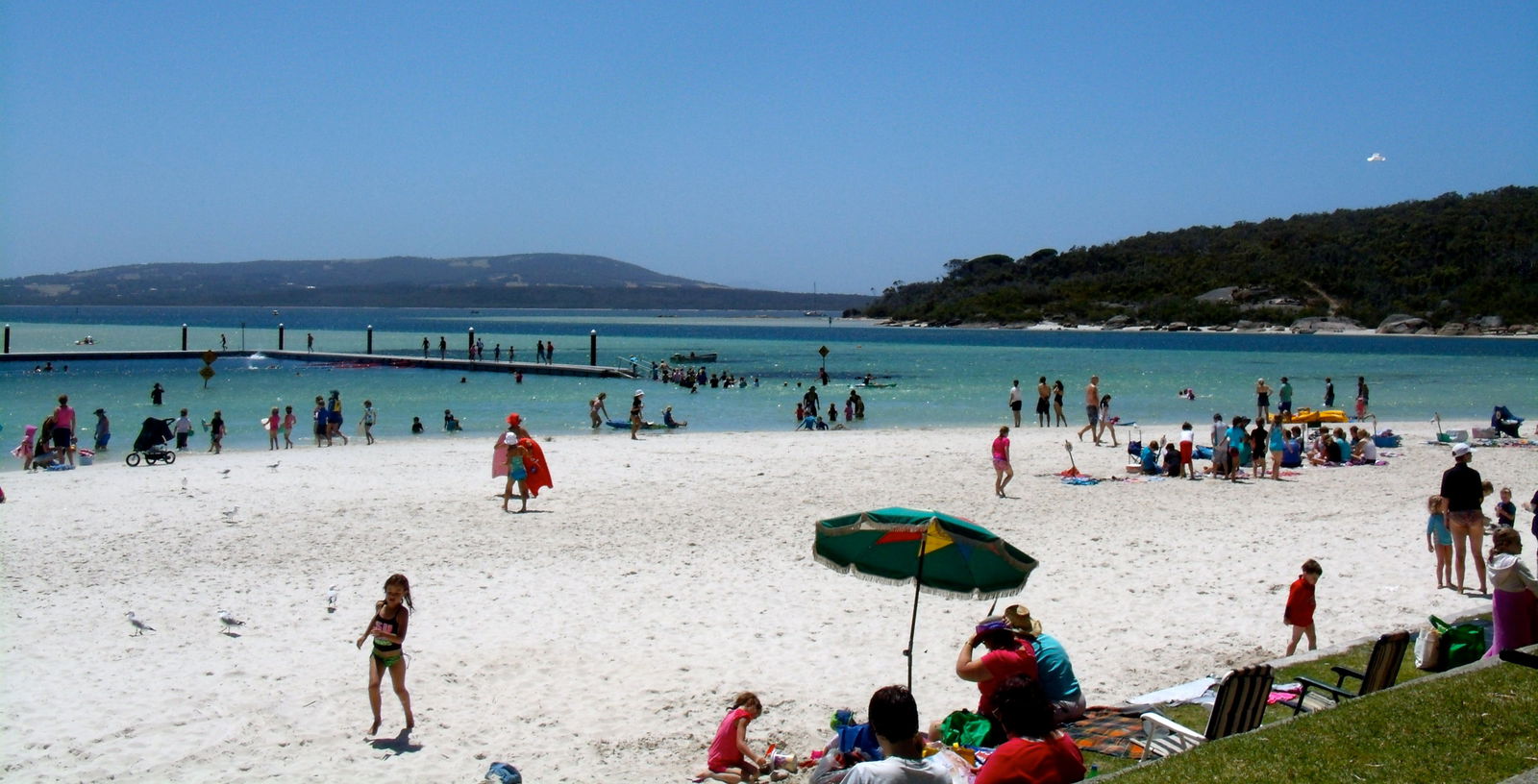  Accommodation Bookings