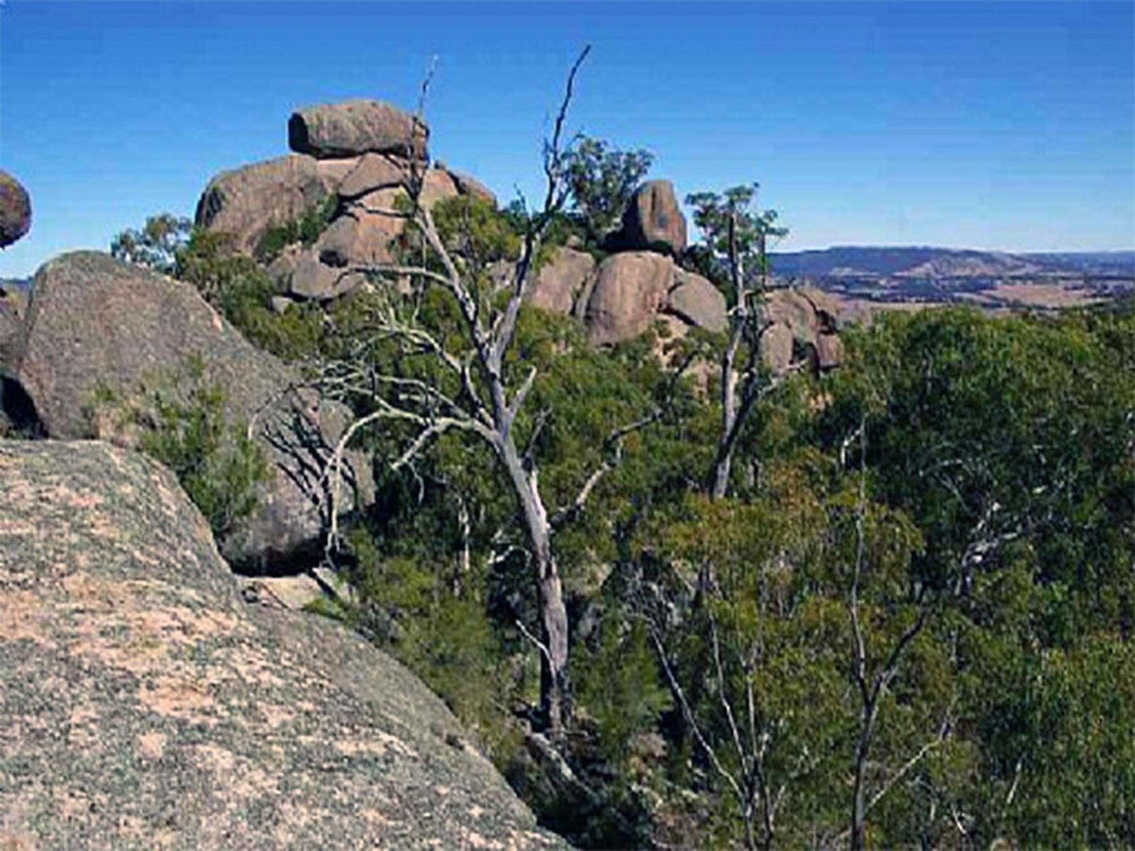 Explorer Country NSW Accommodation Bookings