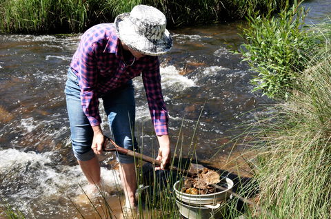 Fossicking - Accommodation Bookings 0