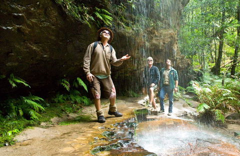 Grand Canyon Track - Accommodation Bookings 0