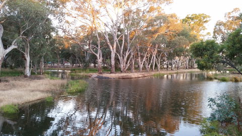 Green Corridor Walking Track - Accommodation Bookings 1