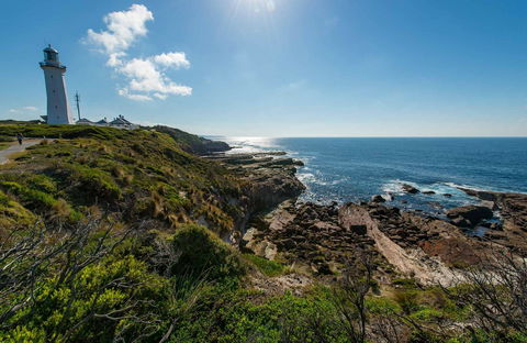 Green Cape Lookout - Accommodation Bookings 0