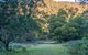 Griffins Walking Track - thumb 0