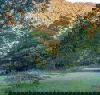 Griffins walking track - Accommodation Bookings