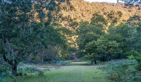 Griffins Walking Track - Accommodation Bookings 0