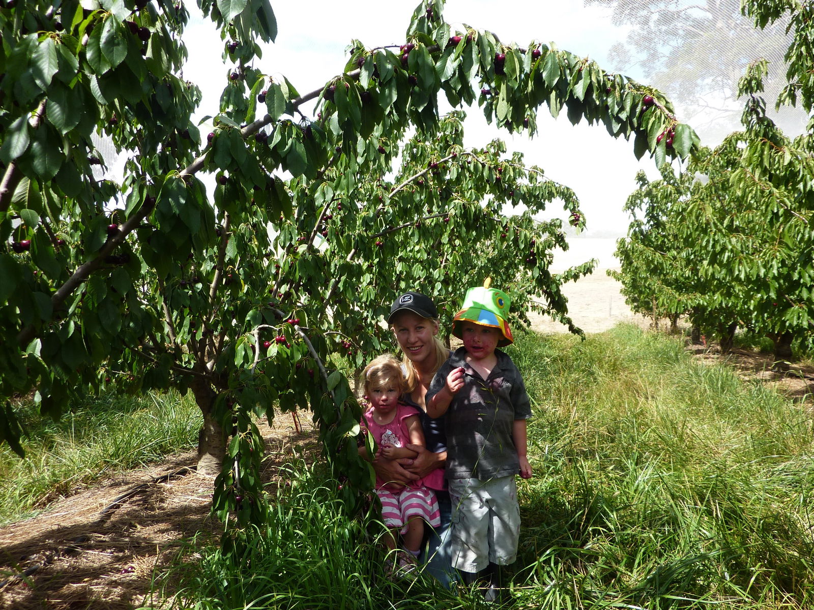 Adelaide Hills SA Accommodation Bookings