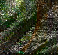 Hidden Treasure Track - Accommodation Bookings