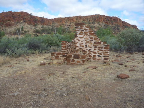 Illamurta Springs Conservation Reserve - Accommodation Bookings 1