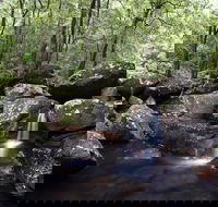 Kangaroo River - Accommodation Bookings