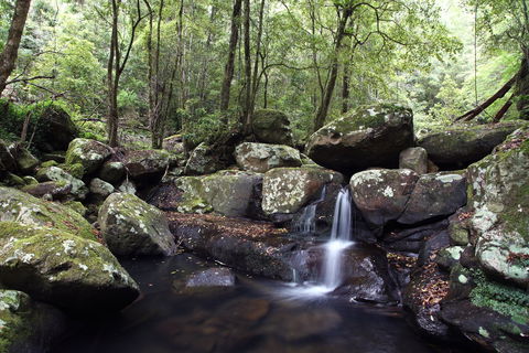 Kangaroo River - Accommodation Bookings 0