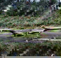 Kayaking Upper Tuross River and Bumbo Lake - Accommodation Bookings