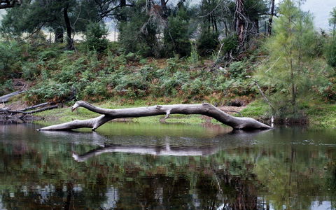 Kayaking Upper Tuross River And Bumbo Lake - Accommodation Bookings 0