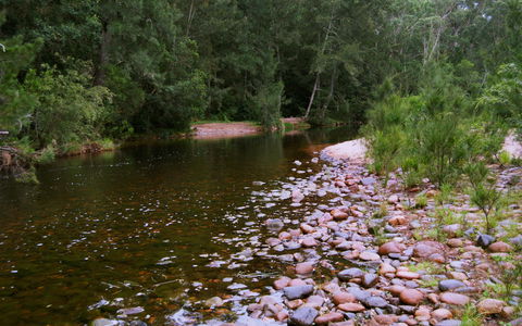 Kayaking Upper Tuross River And Bumbo Lake - Accommodation Bookings 1
