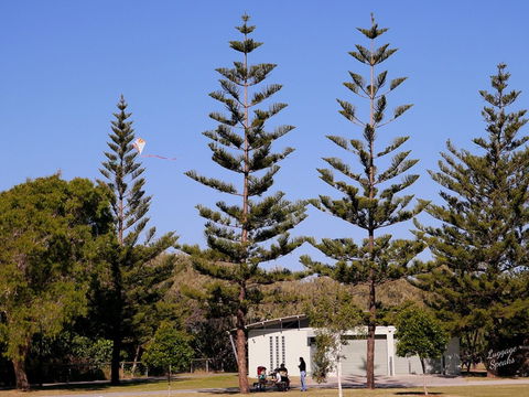 Kurrawa Park - Accommodation Bookings 0