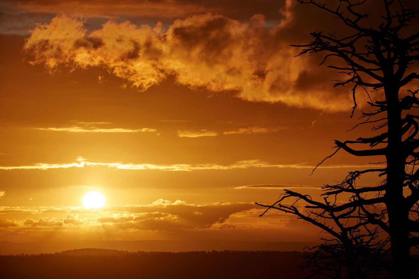 Kinglake Central VIC Accommodation Bookings