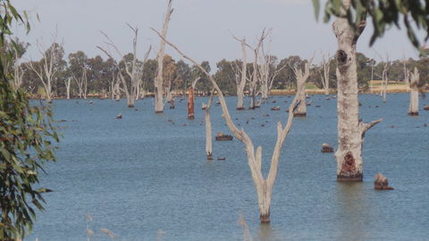 Lake Mulwala - Accommodation Bookings 2