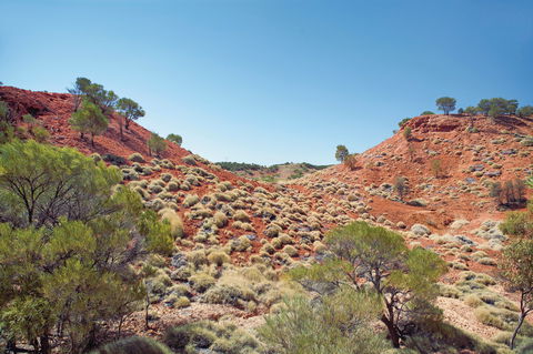 Lark Quarry Conservation Park - Accommodation Bookings 0
