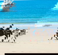 Mackay Harbour Beach - Accommodation Bookings