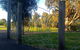 Mansfield Arts Walk - thumb 2