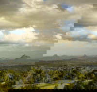 Mary Cairncross Scenic Reserve Rainforest Walk - Accommodation Bookings