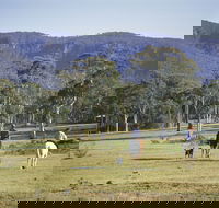 Megalong Valley - Accommodation Bookings