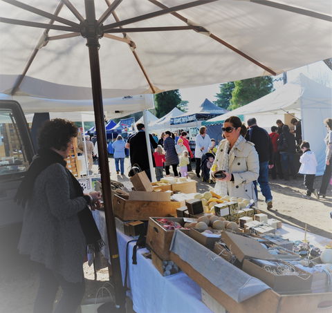 Mornington Racecourse Market - Accommodation Bookings 0