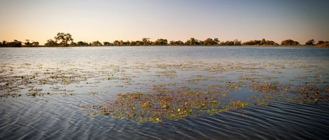 Moulamein Lake - Accommodation Bookings 1