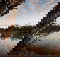 Murray-Kulkyne Regional Park - Accommodation Bookings