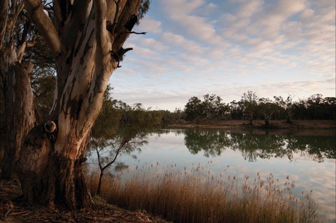Murray-Kulkyne Regional Park - Accommodation Bookings 0