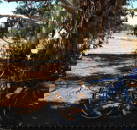 Murchison Rail Trail - Accommodation Bookings