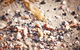 Mushroom Reef Beach - thumb 1