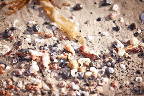 Mushroom Reef Beach - Accommodation Bookings 1