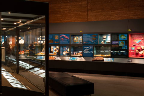 Museum Of Central Australia - Accommodation Bookings 0