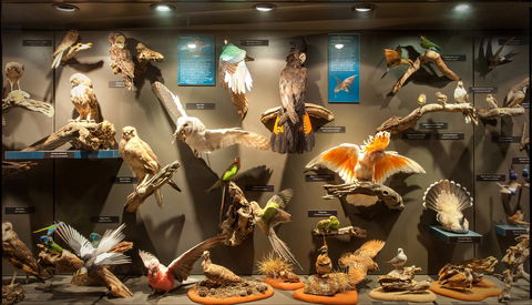 Museum Of Central Australia - Accommodation Bookings 2