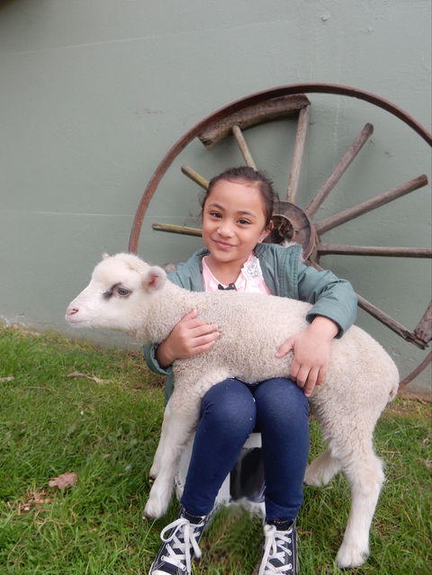 Myuna Farm - Accommodation Bookings 0
