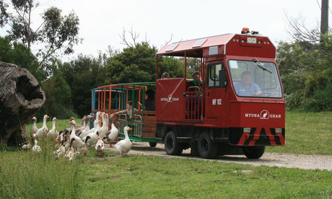Myuna Farm - Accommodation Bookings 2