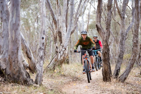 Nail Can Hill - Accommodation Bookings 1