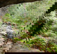 Old Great North Road Bike Ride - Accommodation Bookings