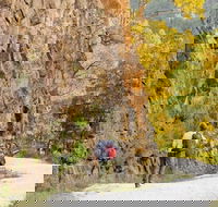 Old Great North Road - World Heritage Walk - Accommodation Bookings